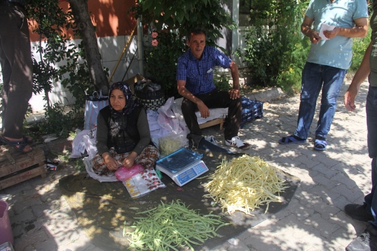 Beyaz Fasulyenin Kilosu 10 Tl