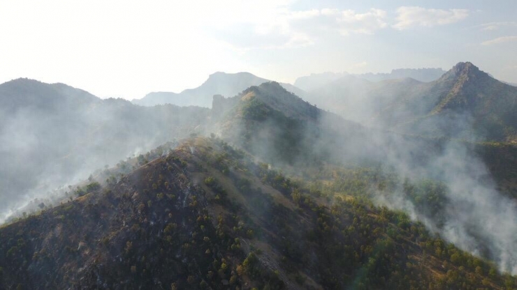 Beytüşşebap’ta Yangın