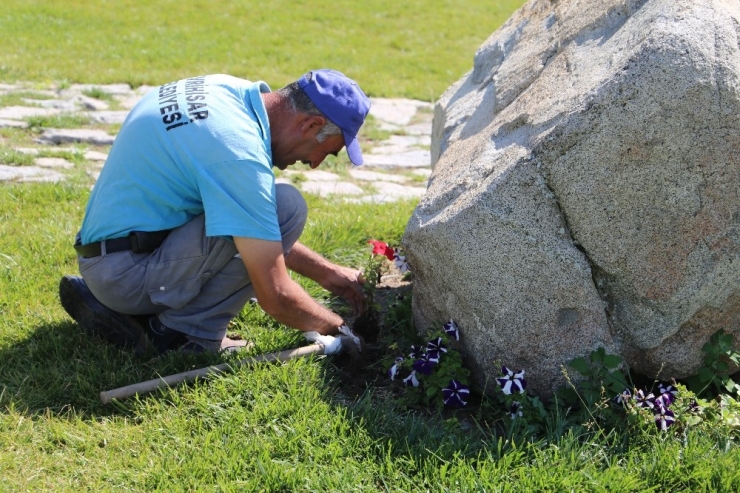 Sivrihisar Çiçeklerle Renkleniyor