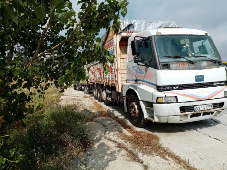 Kamyon Şoförünün Acı Ölümü