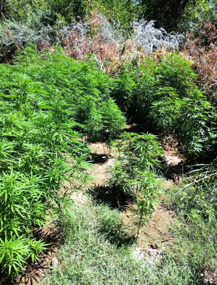 Hevsel Bahçeleri’nde 300 Polisle Uyuşturucu Operasyonu