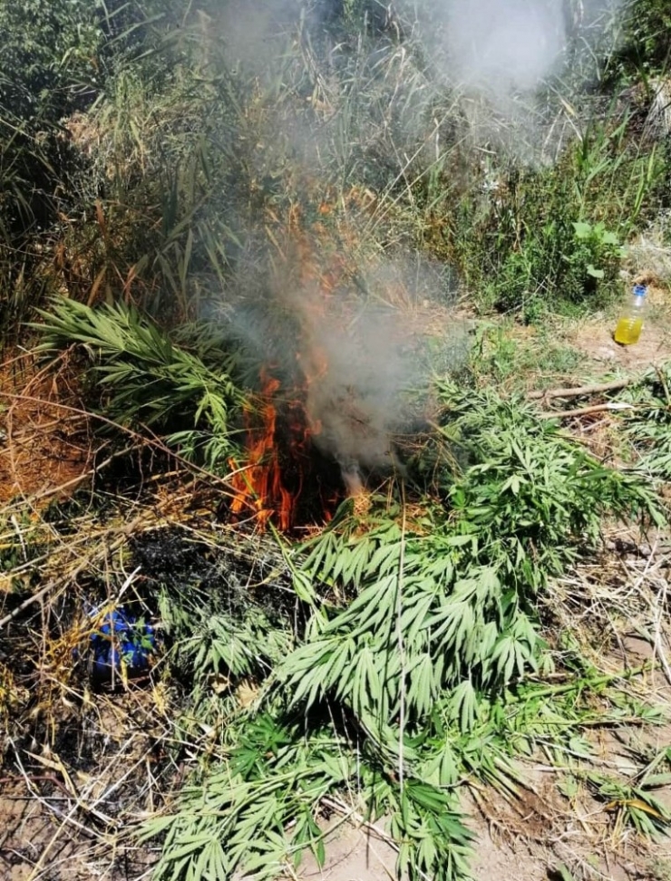 Hevsel Bahçeleri’nde 300 Polisle Uyuşturucu Operasyonu