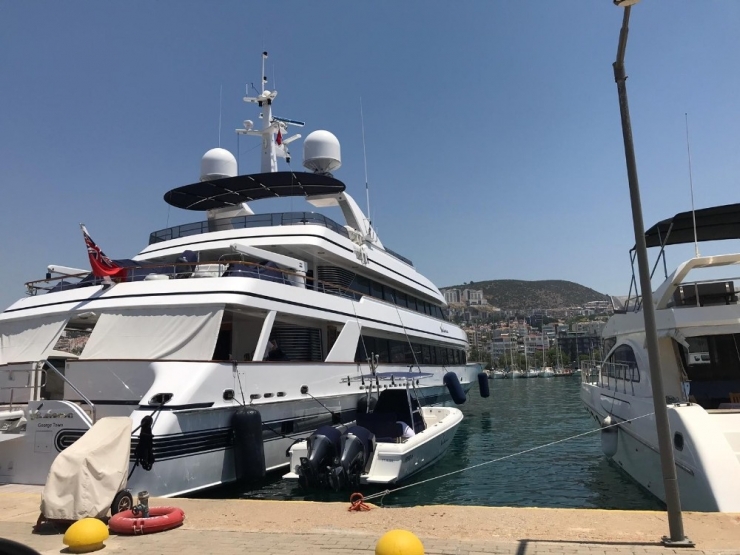 Köpeği Ölen Ünlü Şarkıcı Mavi Turu Yarıda Kesti