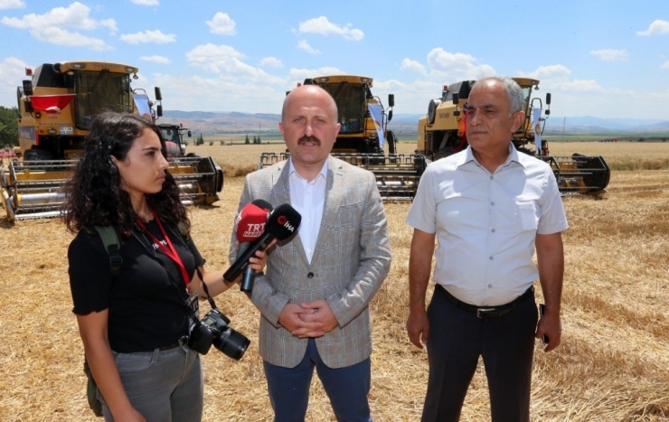 2 Bin Yıllık ‘Amasya Misket Elması’na Özel Gen Bahçesi