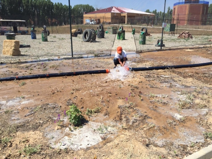 Gürpınar’da Parklar Güzelleşiyor