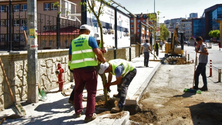 Altınordu’da Ağaçlandırma Çalışması