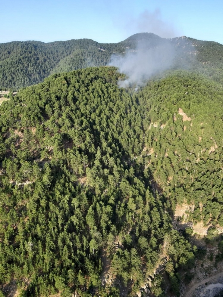 Manavgat’ta Orman Yangını