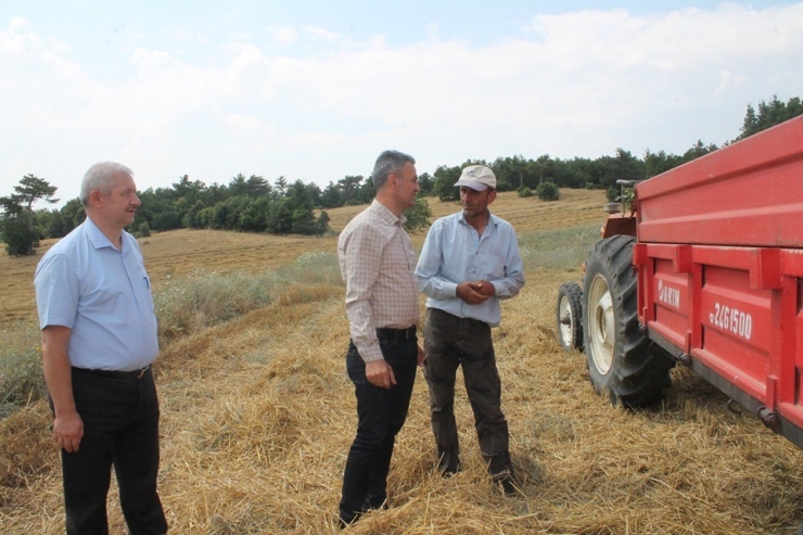 Buğdayın Ton Fiyatı Bin 125 İle Bin 350 Tl Arasında Değişiyor