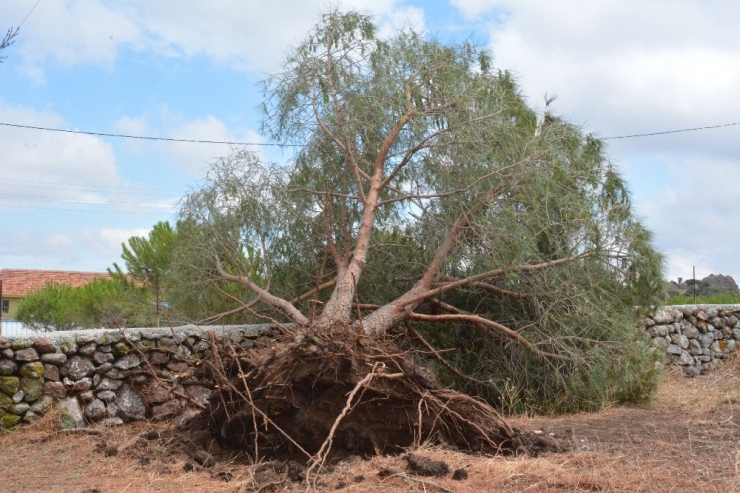 Çanakkale’yi Kasırga Vurdu