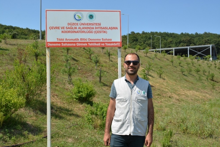 Düzce Üniversitesi Ülke Ekonomisine Katkı Sağlıyor