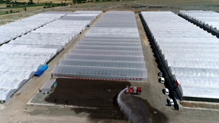 Ahıskalılar Seradan İlk Mahsulü Aldı