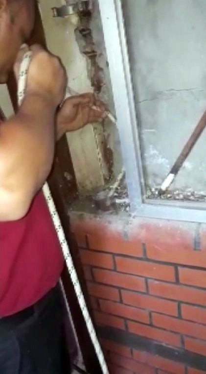 Boruya Sıkışan Yavru Kedileri İtfaiye İple Kurtardı