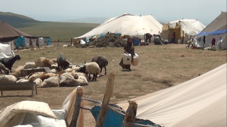 Göçerlerin Zorlu Yayla Yaşamı