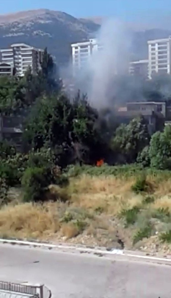 Zeytinlikte Çıkan Yangın Korkuttu