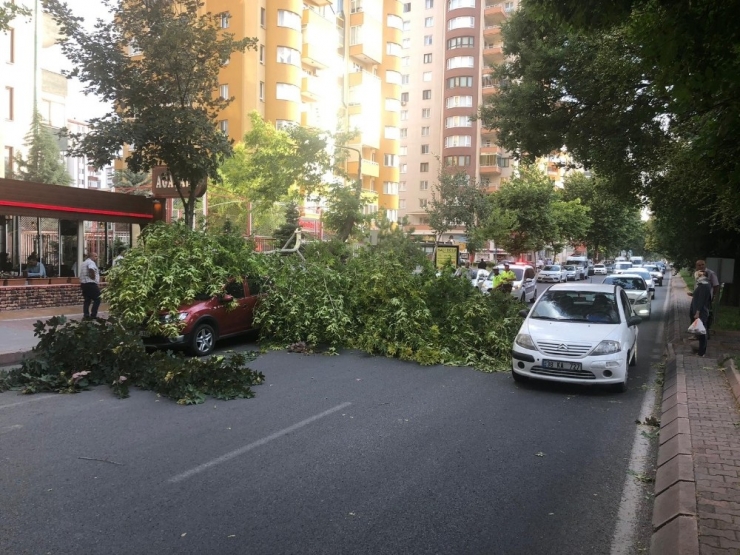 Kayseri’de Kapuzbaşı Şelaleleri’ne Giden Yol Aşırı Yağıştan Kapandı