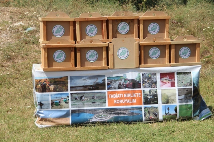 Kırıkkale’de 2 Bin Keklik Doğaya Bırakıldı