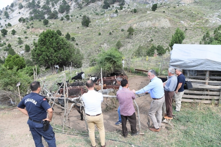 Başkan Esen’den Hayvancılığa Destek Sözü