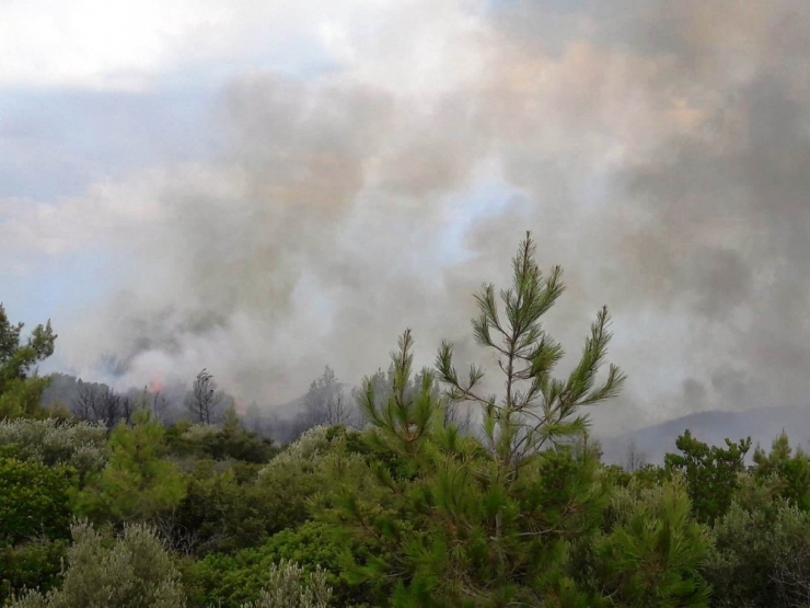 Muğla’da Yeni Bir Orman Yangını Evleri Tehdit Ediyor