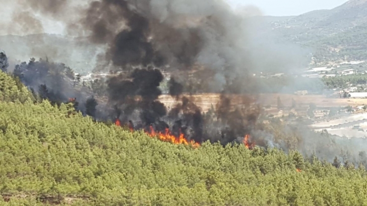 Muğla’da Üçüncü Yangın Fethiye’de Başladı