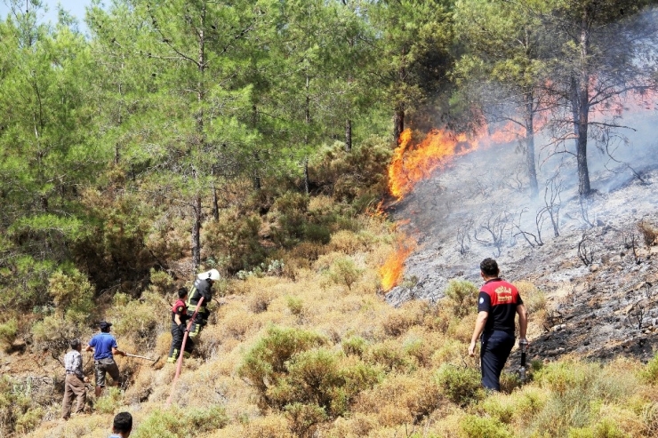 Fethiye’deki Orman Yangını Kontrol Altına Alındı