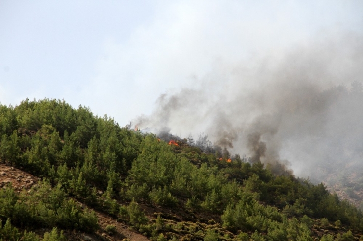 Dalaman’daki Yangın Yeniden Aktif Hale Geldi