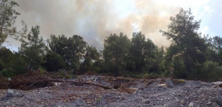 Muğla’daki İkinci Yangın Evlere Ulaşamadan Söndürüldü
