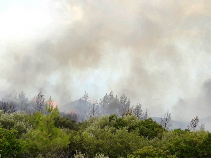 Muğla’daki İkinci Yangın Evlere Ulaşamadan Söndürüldü