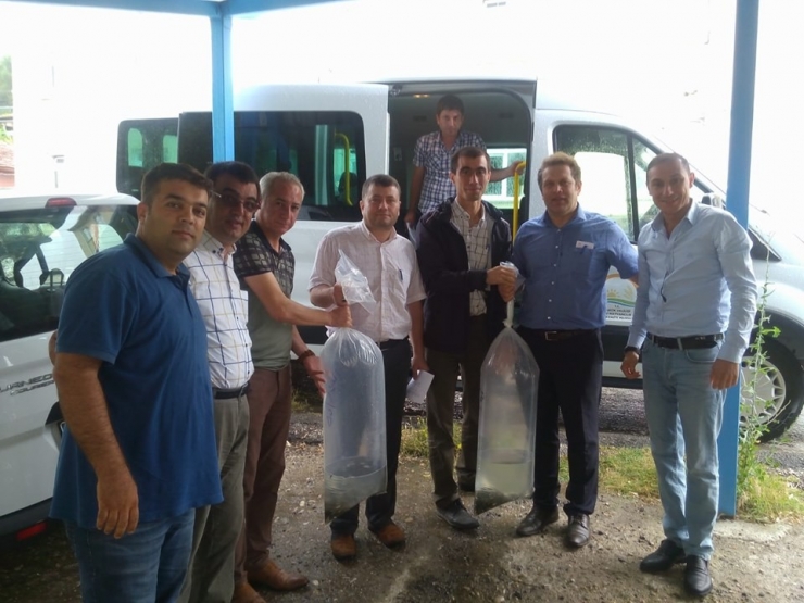 Bilecik’te 10 Gölete 64 Bin Sazan Balığı Yavrusu Bırakıldı