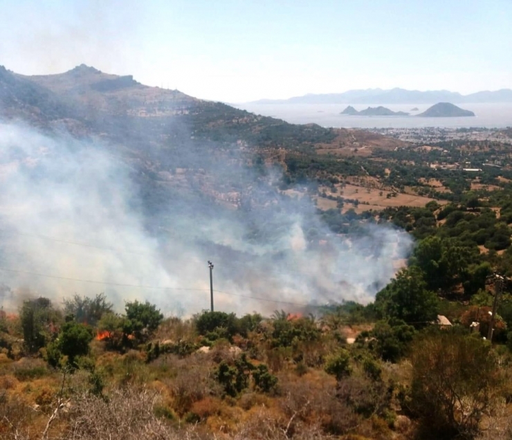 Bodrum’da Başlayan Yangın Yerleşim Yerlerini Tehdit Ediyor