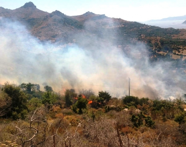Bodrum’da Başlayan Yangın Yerleşim Yerlerini Tehdit Ediyor