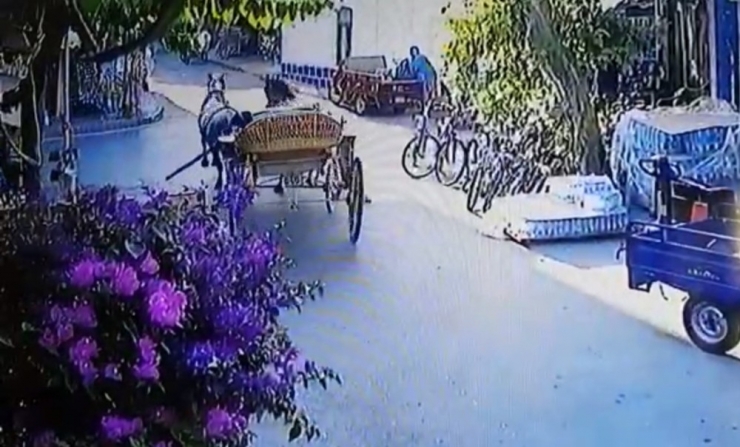 Büyükada’da Fayton Faciası Kamerada