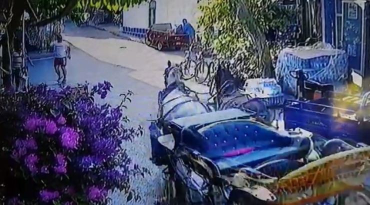 Büyükada’da Fayton Faciası Kamerada