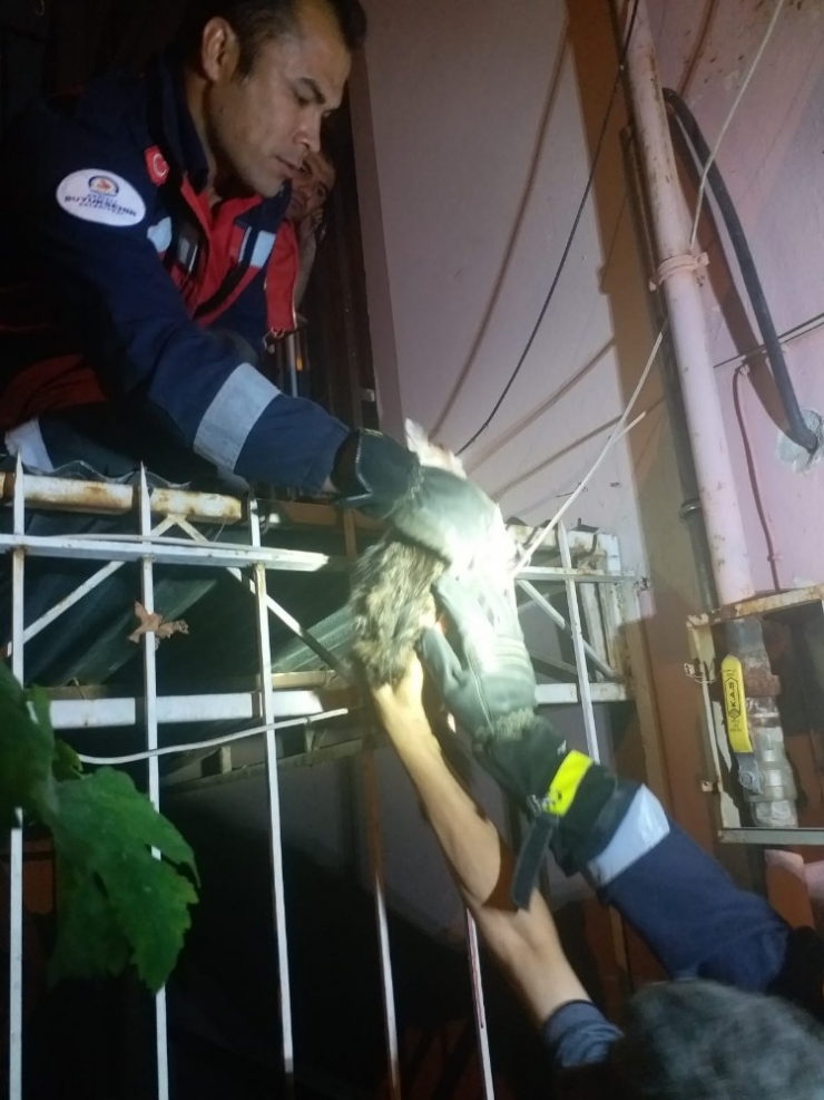 Korkuluklara Saplanan Kediyi İtfaiye Kurtardı