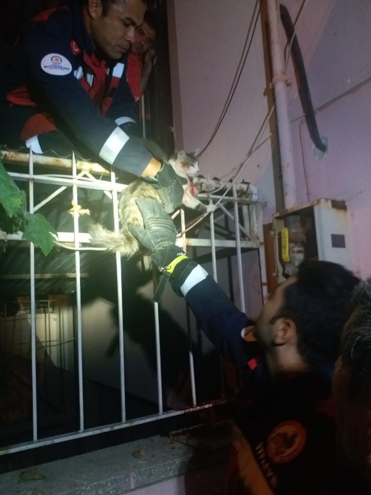 Korkuluklara Saplanan Kediyi İtfaiye Kurtardı