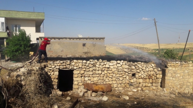 Elektrik Telleri Koptu, 10 Güvercin Telef Oldu