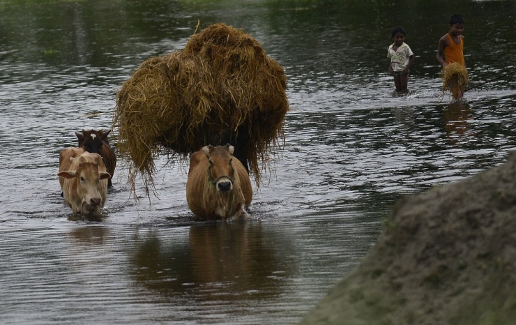 Hindistan’da Sel Felaketi: 3 Ölü, Onlarca Kayıp