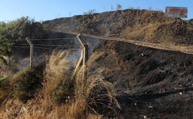 Orman Yangın Havuzunda Yangın Paniği