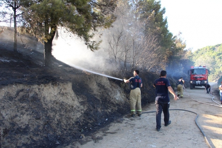 Orman Yangın Havuzunda Yangın Paniği