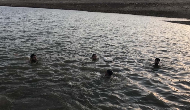 Nusaybin’de Gölete Giren Amca Çocukları Boğuldu