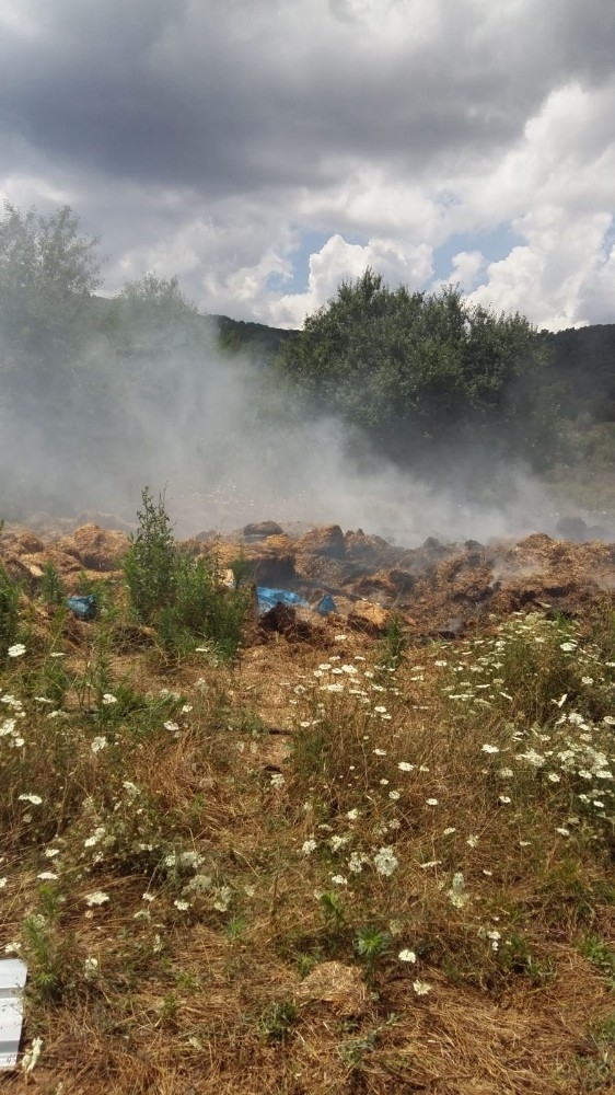 Pazaryeri’nde Samanlar Alev Alev Yandı