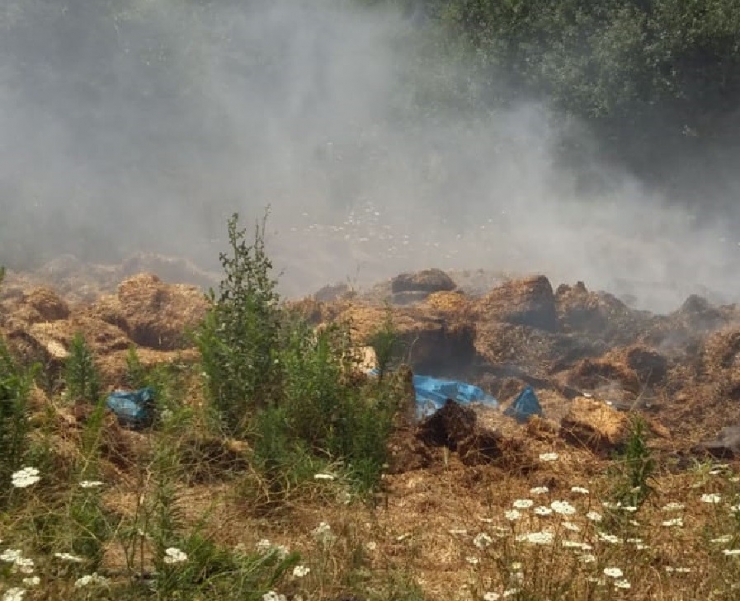 Pazaryeri’nde Samanlar Alev Alev Yandı