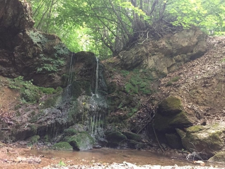 Pazaryeri’ndeki Şelale Keşfedilmeyi Bekliyor