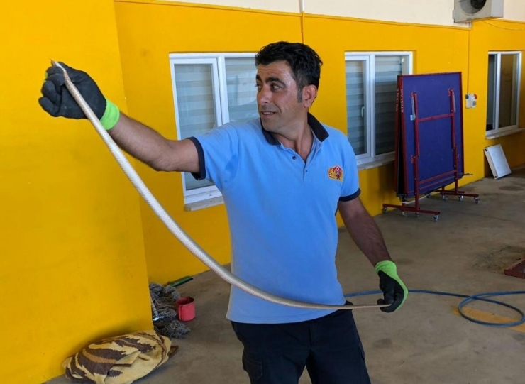 Araca Giren Yılan Korkuttu