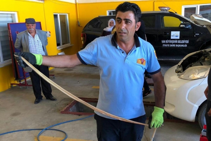 Araca Giren Yılan Korkuttu