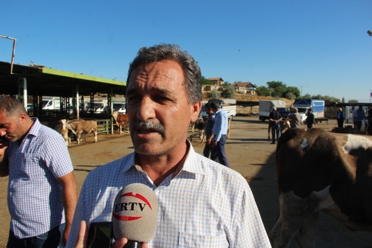 Et Üreticilerinden ’İthal Et Ve Hayvan’ Tepkisi