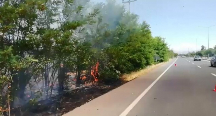 Elazığ’da Otomobil Elektrik Direğine Çaptı: 2 Yaralı