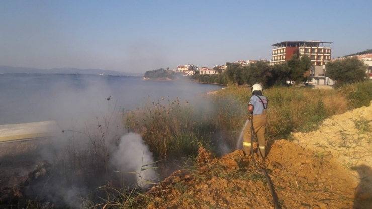 Burhaniye’de Ot Yangını Ağaçlara Zarar Verdi