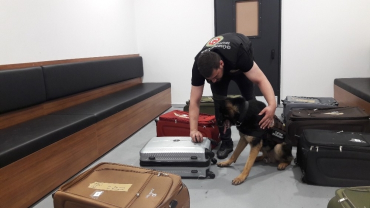 Piyasa Değeri 1 Milyon Lira