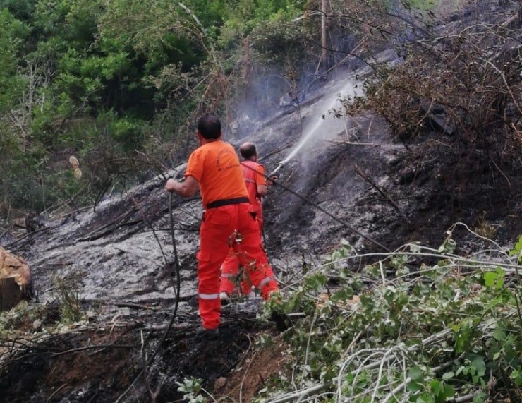 Bingöl’de 2 Ayrı Yangın Söndürüldü