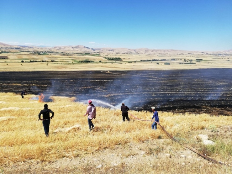 Elazığ’da 150 Dönümlük Alan Kül Oldu